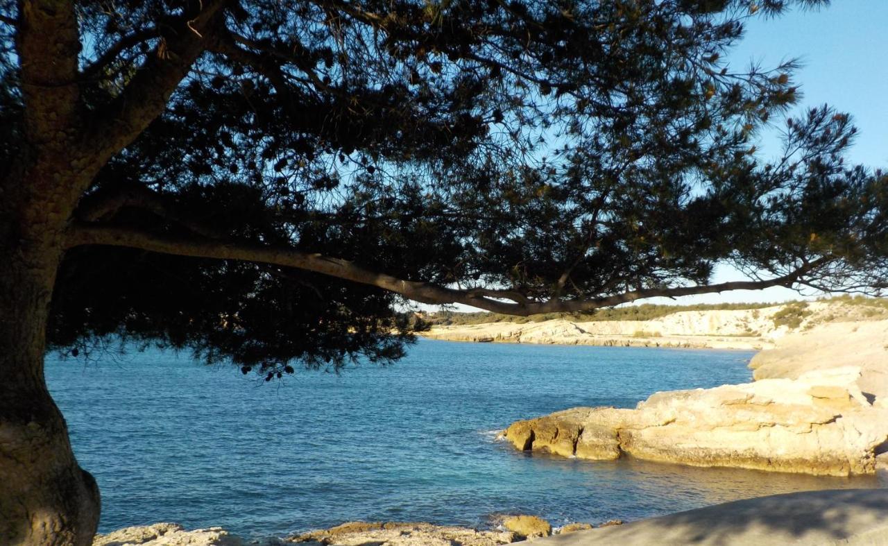 Les Lauriers Βίλα Sausset-les-Pins Εξωτερικό φωτογραφία
